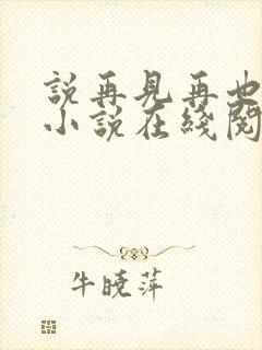 说再见再也不见小说在线阅读