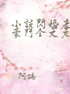 小说闪婚老公是豪门全文免费阅读