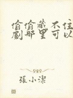 偷偷藏不住电视剧哪里可以看