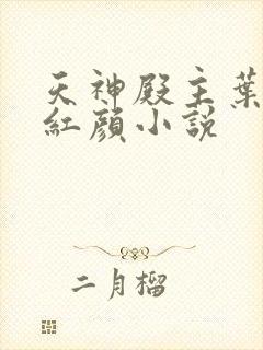 天神殿主叶凡宋红颜小说