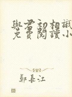 与君初相识全文免费阅读小说