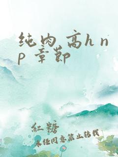 纯肉 高h np 章节