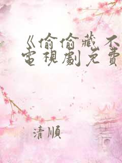 《偷偷藏不住》电视剧免费