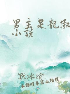 男主是龙傲天的小说