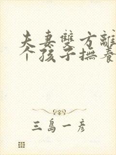 夫妻双方离婚两个孩子抚养权怎么判