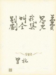 别叫我兄弟电视剧全集免费