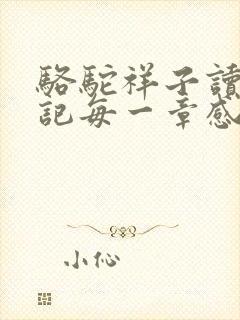 骆驼祥子读书笔记每一章感悟