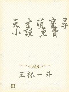 天才萌宝寻爹记小说 免费