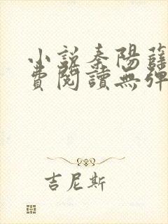 小说秦阳薛冰免费阅读无弹窗