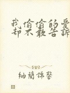 我偷偷的爱着你却不敢告诉你歌词