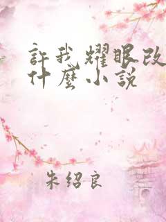 许我耀眼改编自什么小说