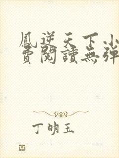 凤逆天下小说免费阅读无弹窗