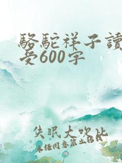 骆驼祥子读后感受600字