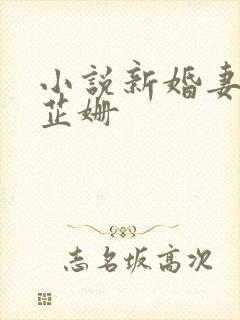 小说新婚妻子李芷姗