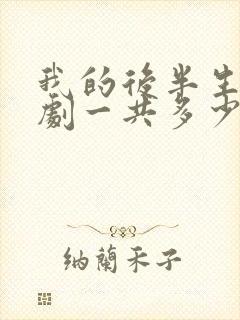 我的后半生电视剧一共多少集