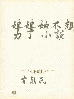 娘娘她不想再努力了 小说