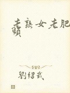 老熟女老肥婆视频