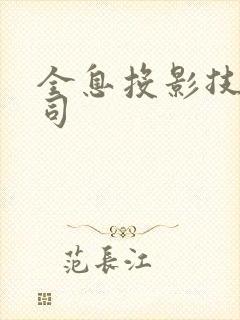 全息投影技术公司