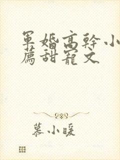 军婚高干小说推荐甜宠文