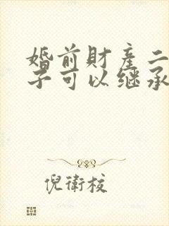 婚前财产二婚孩子可以继承吗