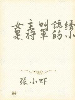 女主叫锦绣男主是将军的小说