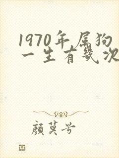 1970年属狗一生有几次婚姻