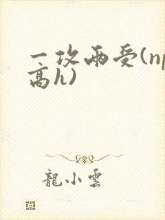 一攻两受(np高h)