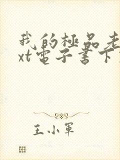 我的极品老婆txt电子书下载