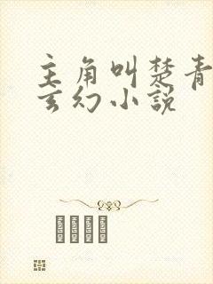 主角叫楚青天的玄幻小说