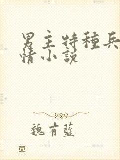 男主特种兵的言情小说