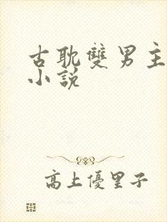 古耽双男主生子小说