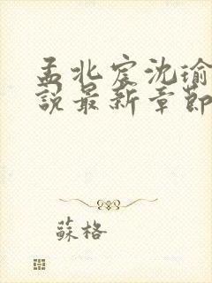 孟北宸沈瑜霜小说最新章节更新内容