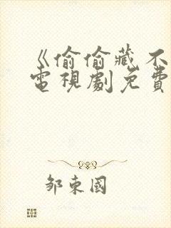 《偷偷藏不住》电视剧免费