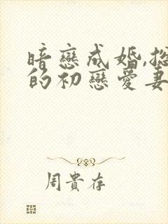 暗恋成婚,总裁的初恋爱妻