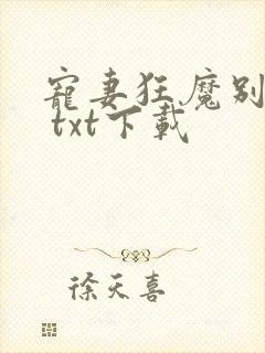 宠妻狂魔别太坏 txt下载