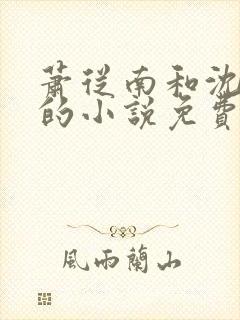 萧从南和沈梦清的小说免费阅读