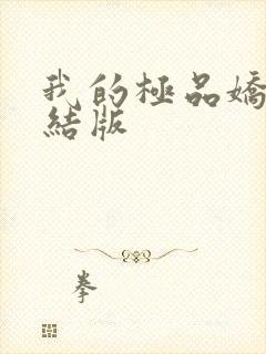 我的极品娇妻完结版