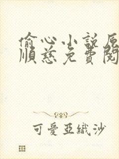 偷心小说原著李顺慈免费阅读