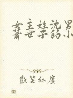 女主姓沈男主姓萧世子的小说