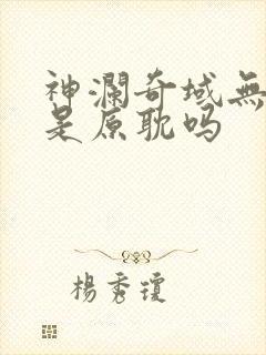 神澜奇域无双珠是原耽吗