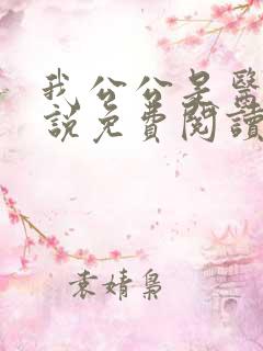 我公公是医生小说免费阅读