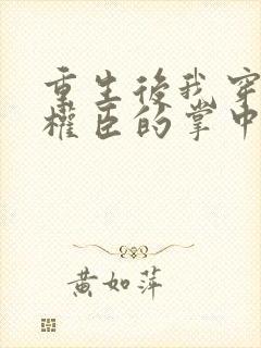 重生后我穿成了权臣的掌中娇