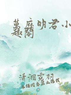 万历明君小说笔趣阁