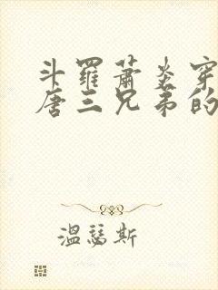 斗罗萧炎穿越成唐三兄弟的小说