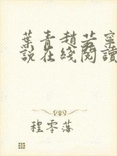 叶青赵若宁的小说在线阅读