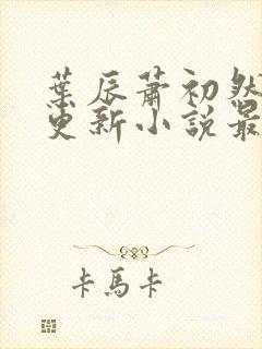 叶辰萧初然最快更新小说最新章节