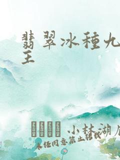 翡翠冰种九龙护主