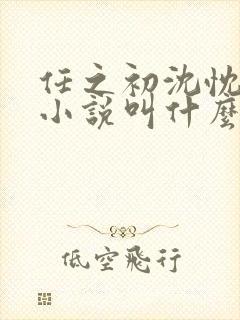 任之初沈忱原著小说叫什么名字