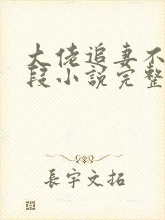 大佬追妻不择手段小说完整版大结局