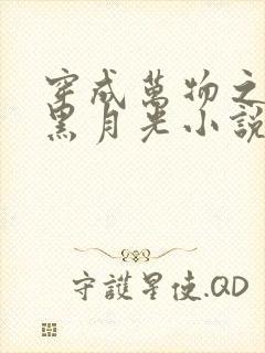 穿成万物之神的黑月光小说